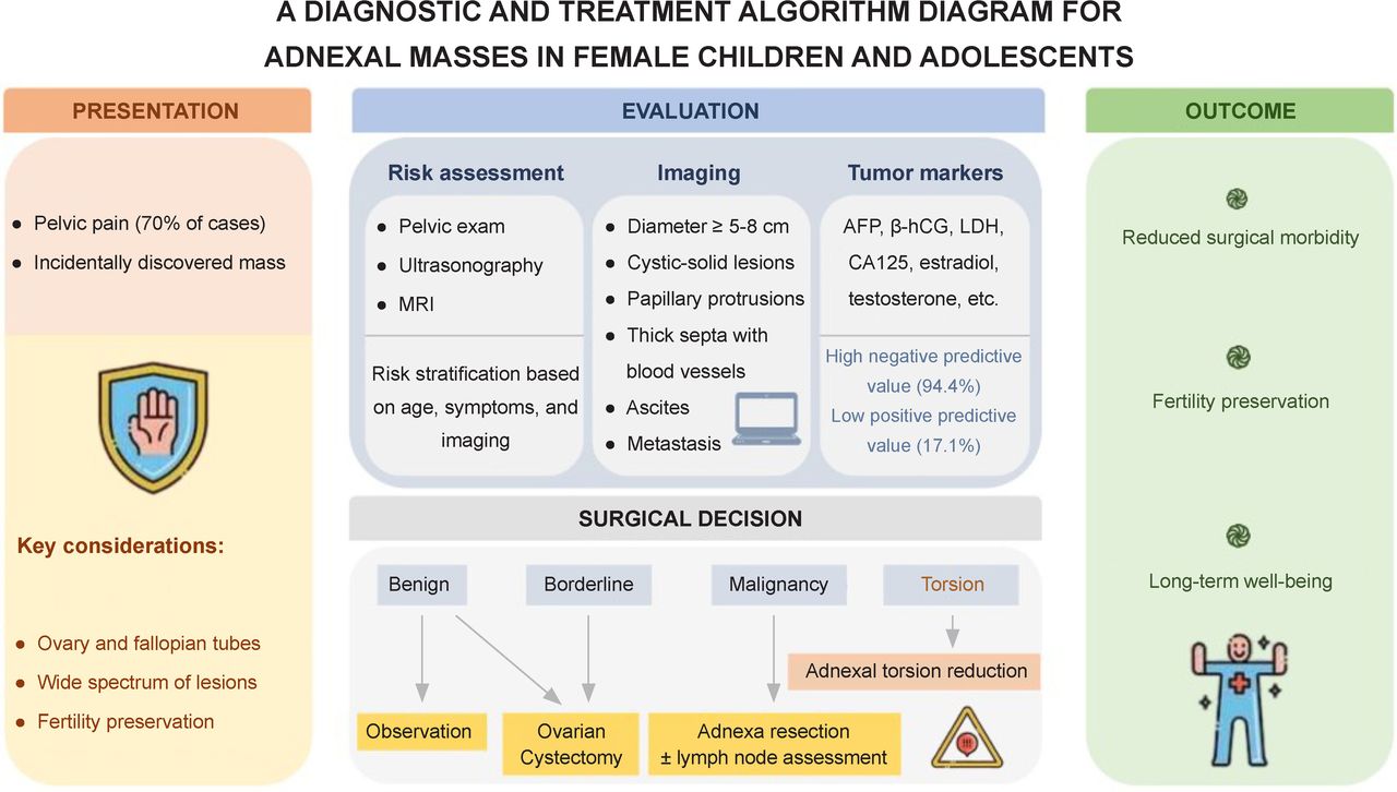 Pyrexic Child Algorithm A diagnosis and treatment algorithm for adnexal masses in female ...